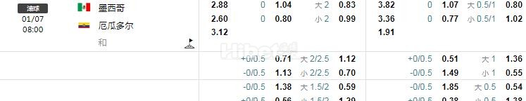 美洲杯 墨西哥 VS 厄瓜多尔